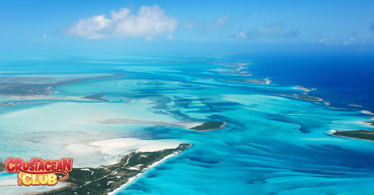 An image of the Bahamas