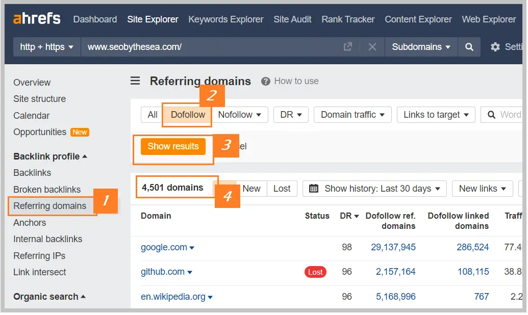 ahrefs referring domains report view do follow