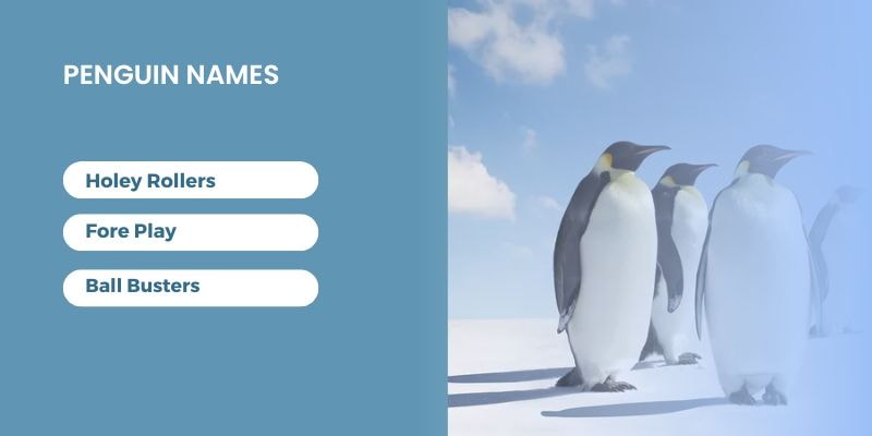 Penguin-Names