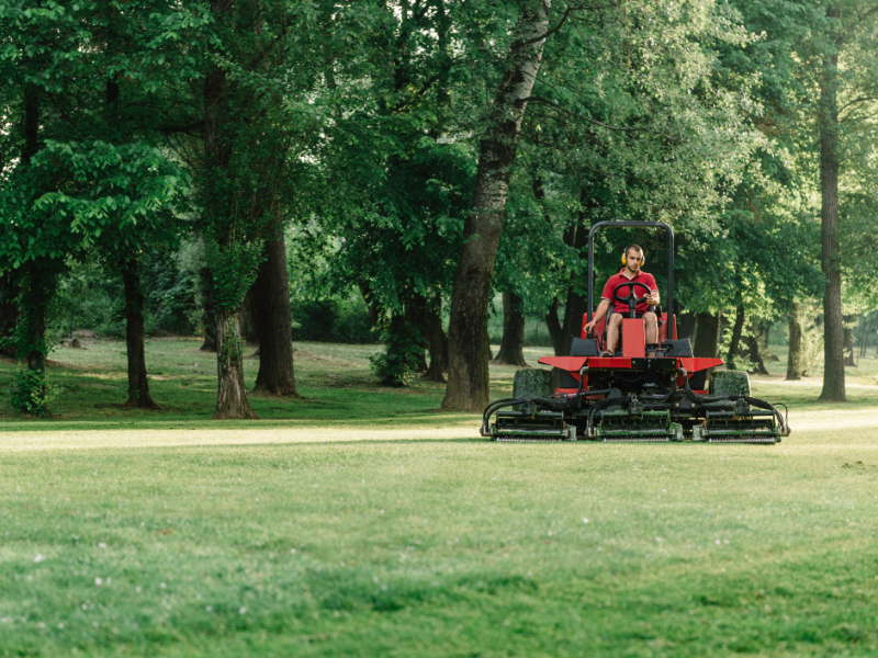 Image emphasizing the importance of expert arborist in golf course tree care.