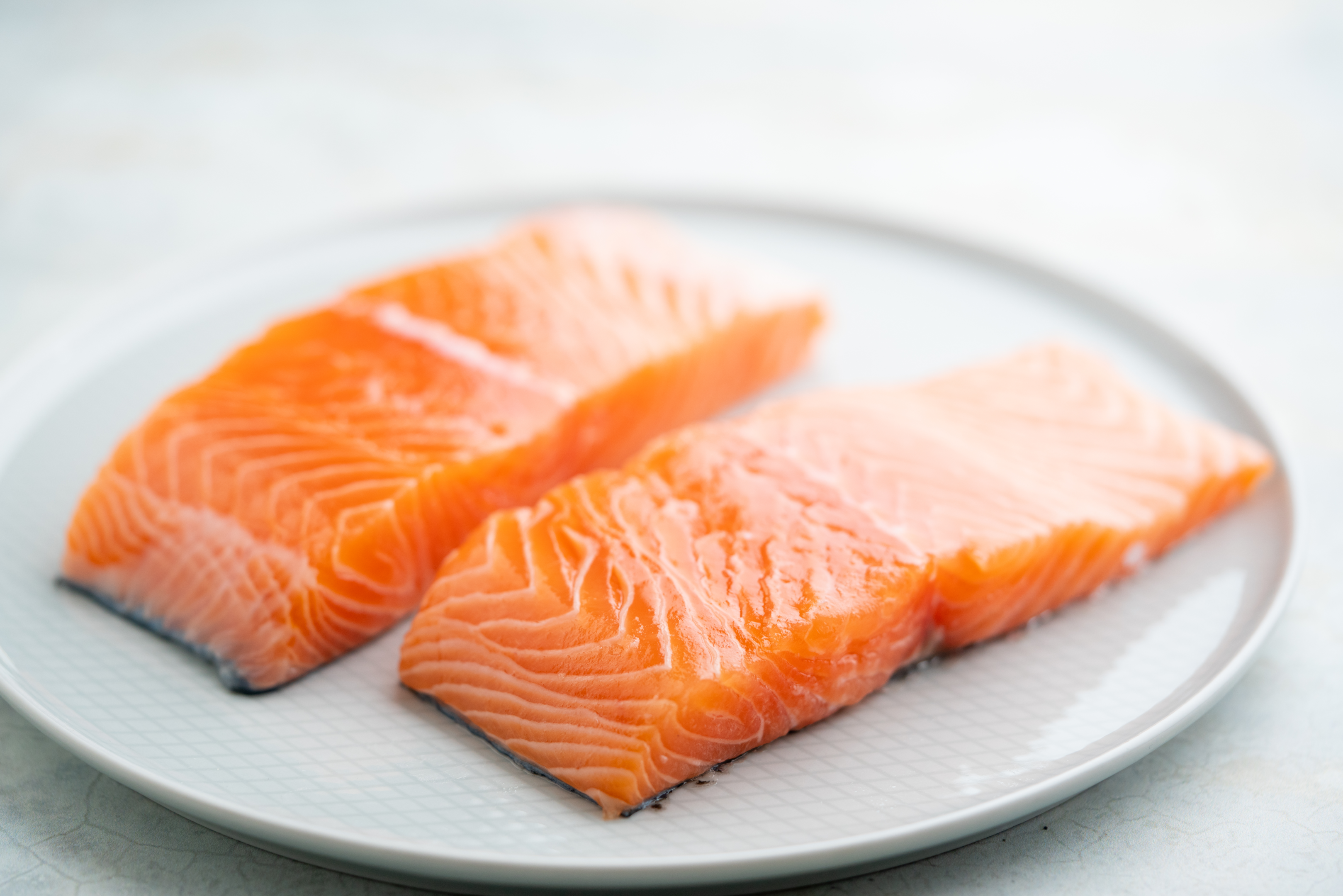 Lachsöl – Hund (https://elements.envato.com/fresh-salmon-fillet-on-a-plate-for-delicious-salmo-G3DCBZL)