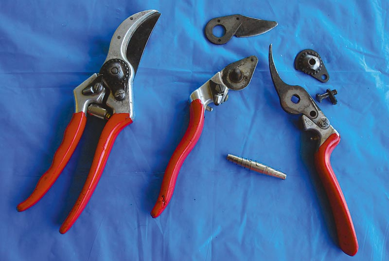 Disassemble the pruners