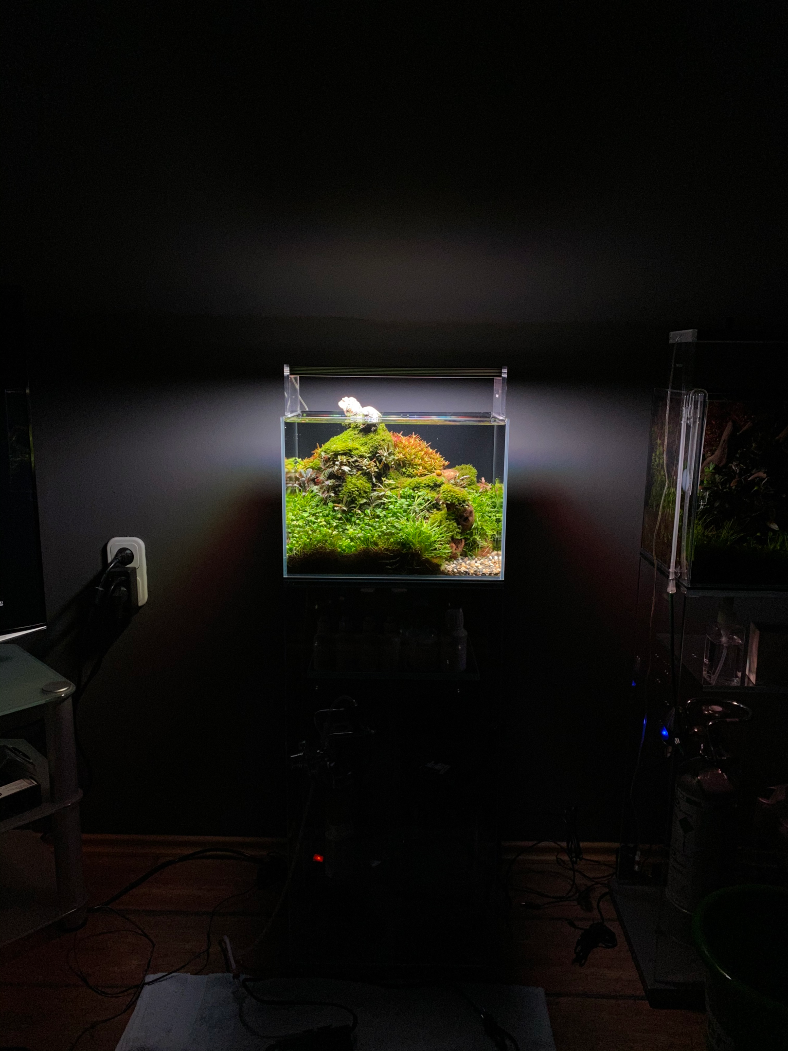 a planted nano tank