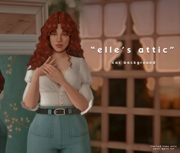 Elle's Attic CAS Background