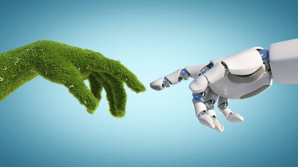How Big Is AI’s Environmental Footprint?