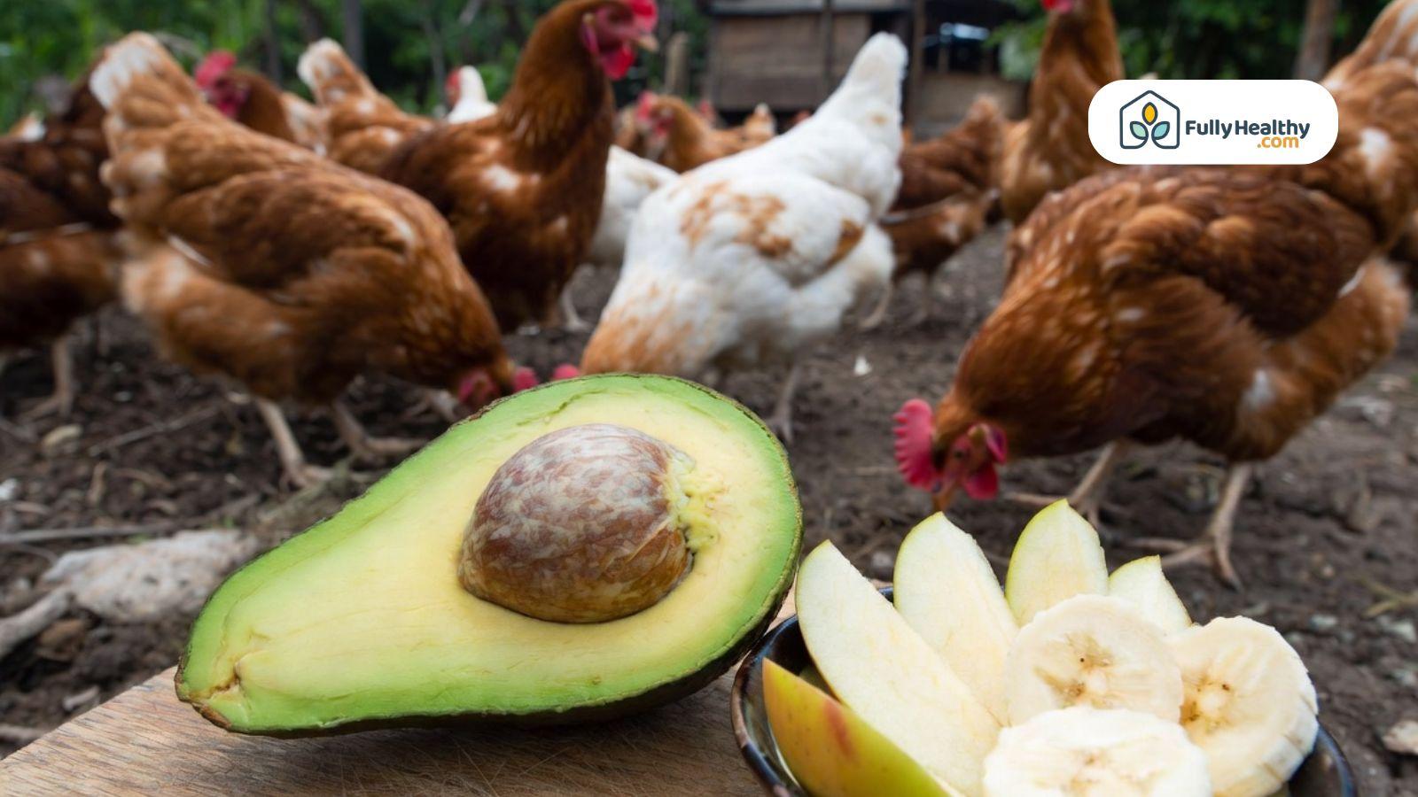Half avocado with pit beside sliced apples and bananas while chickens forage in the background.