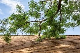 A picture of tree branches on the roof of a house.