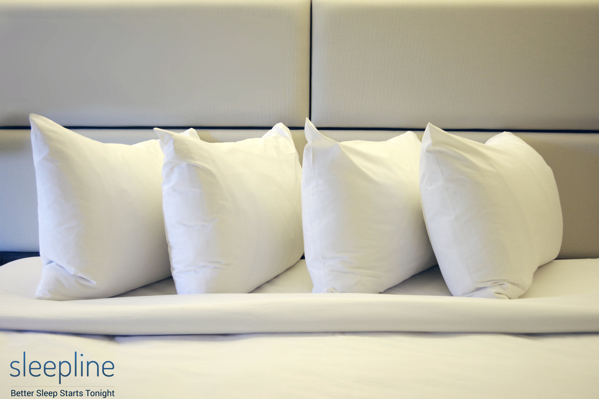 Expensive pillows