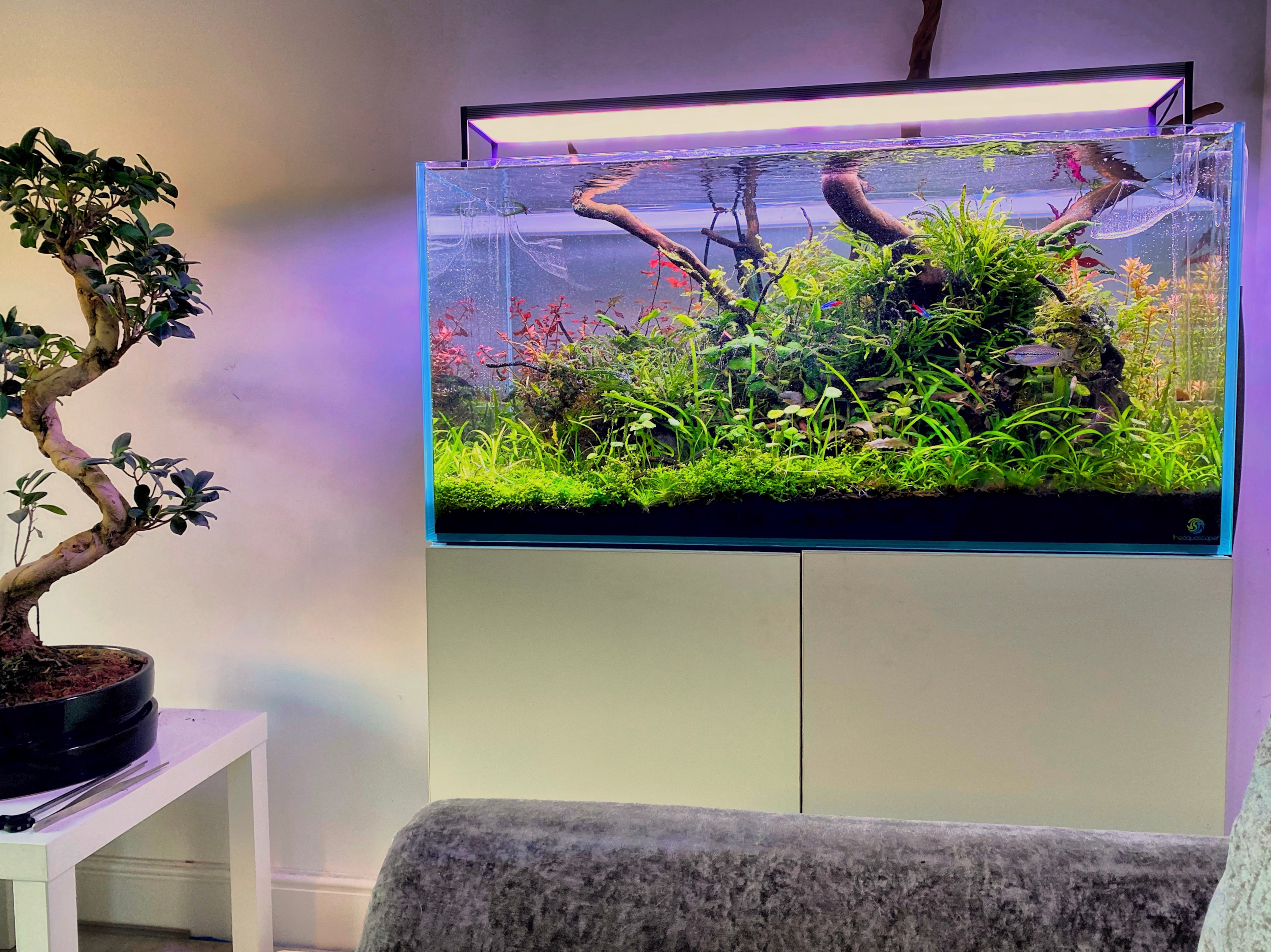 een schoon aquarium