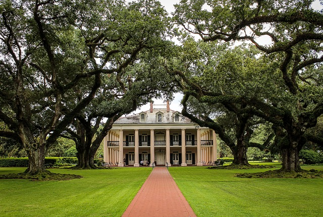 oak alley plantation, southern plantation, sugarcane plantation