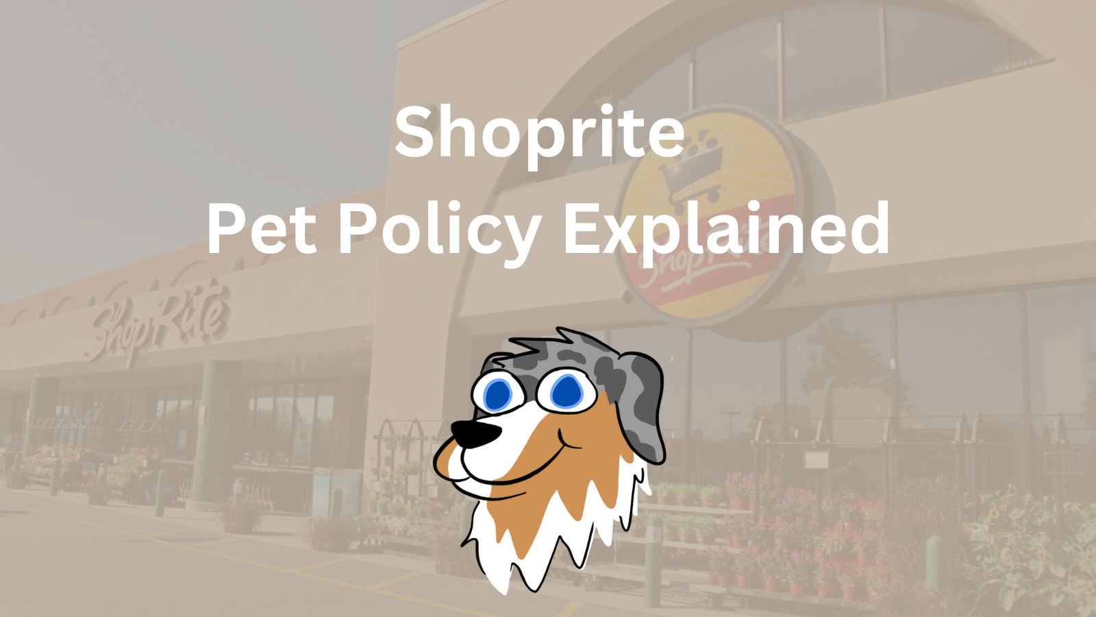 Image Text: "Shoprite Pet Policy Explained"
