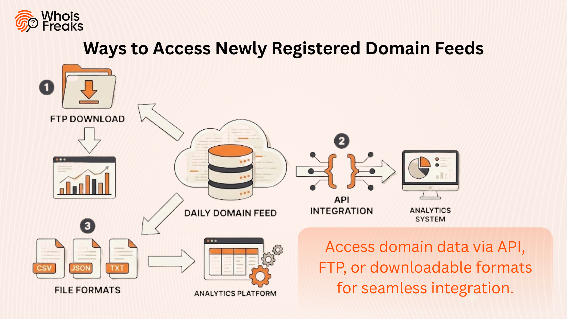 Flat vector illustration showing three ways to access newly registered domain feeds: API integration, FTP download, and CSV/JSON file formats for seamless data ingestion.
