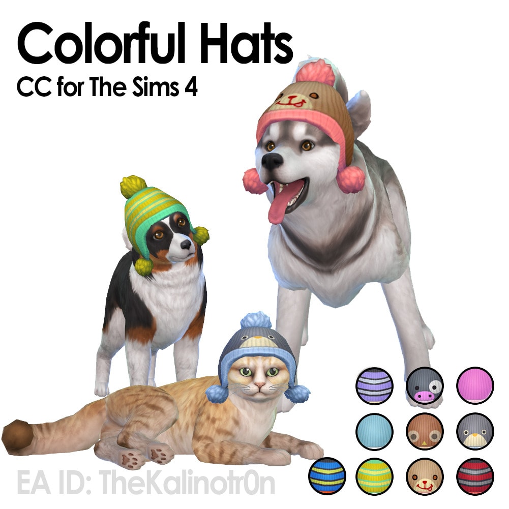 Colorful Hats