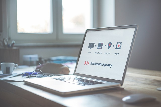 residential proxy in use on a laptop screen