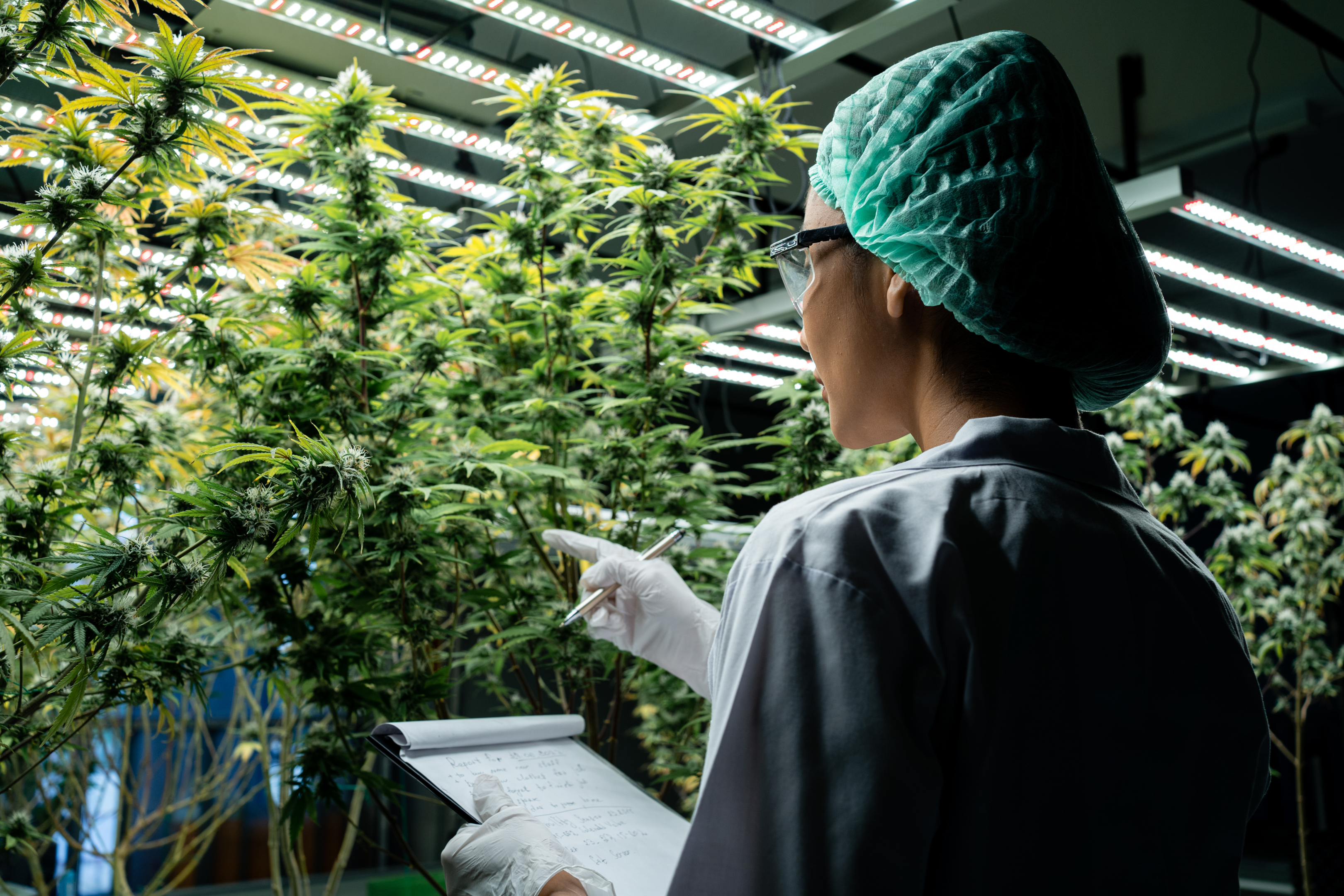 The awesome article that highlights the school emphasizes that this was carefully considered and seen as a benefit to the industry. Students can have a first hand account on planting, running a farm, cooking with cannabis, and basically having a class to cover all parts of the industry.