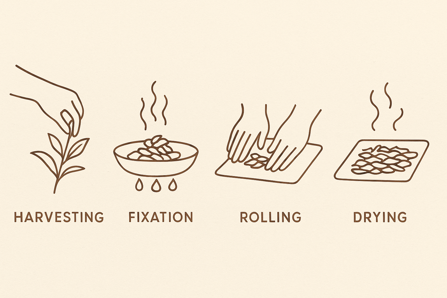 Green tea making process