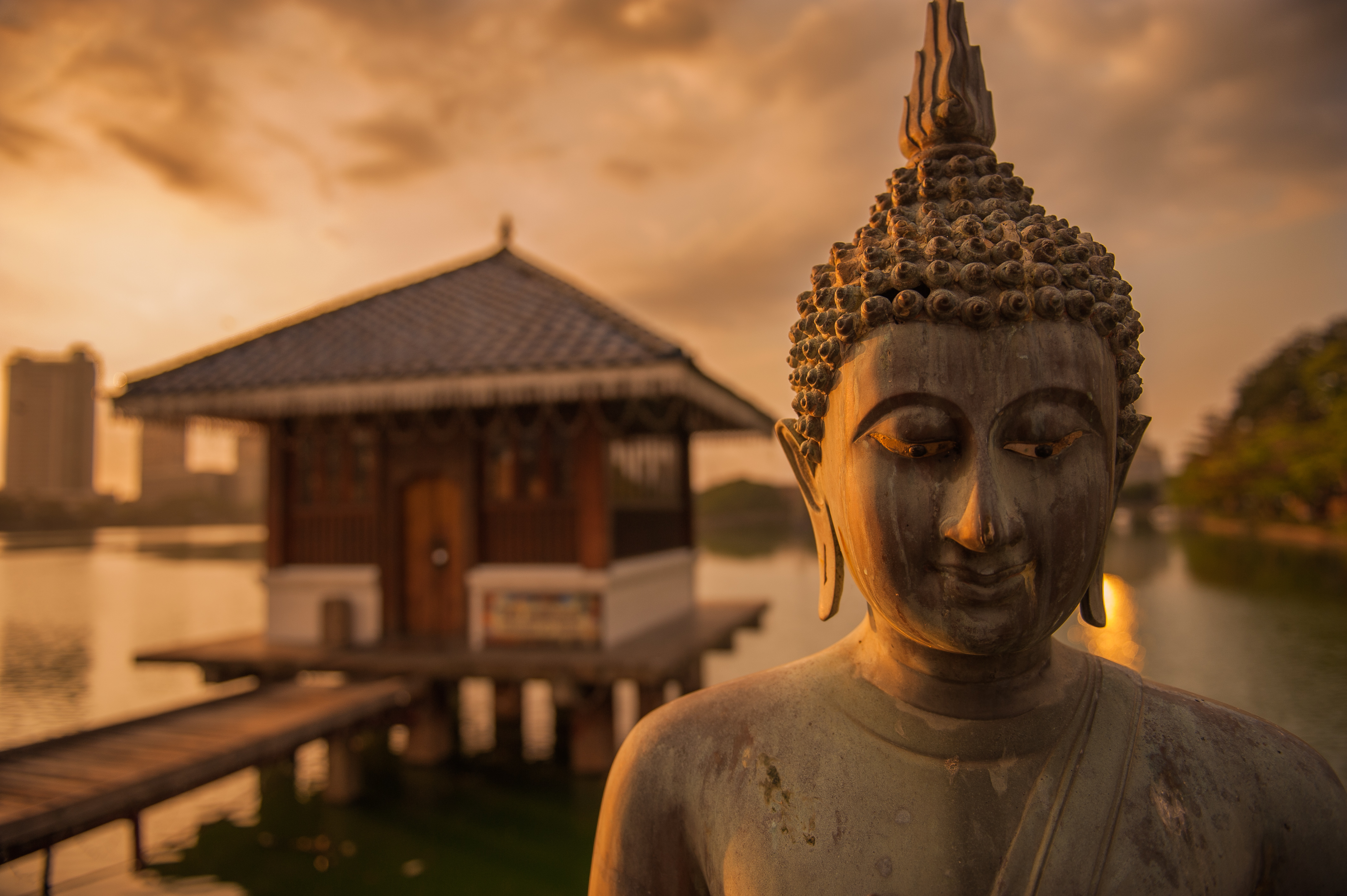 Buddha statue at sunset in Colombo Sri Lanka