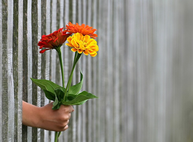 hand, gift, bouquet