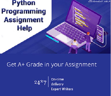Python Homework Help 