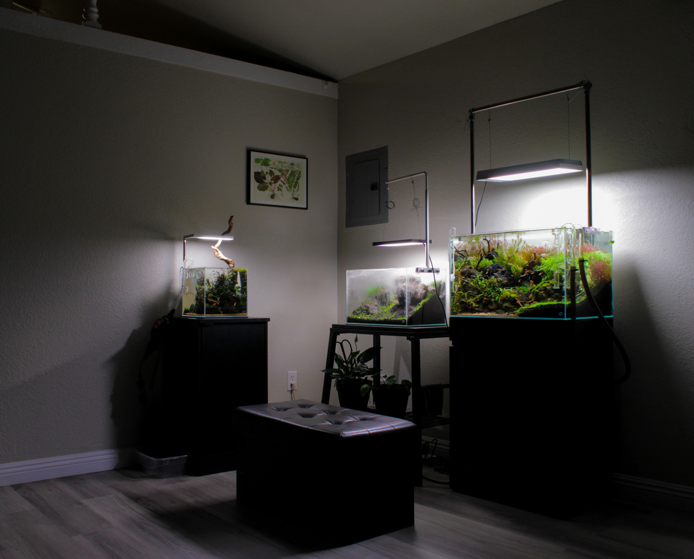 Aquarium store light fixture