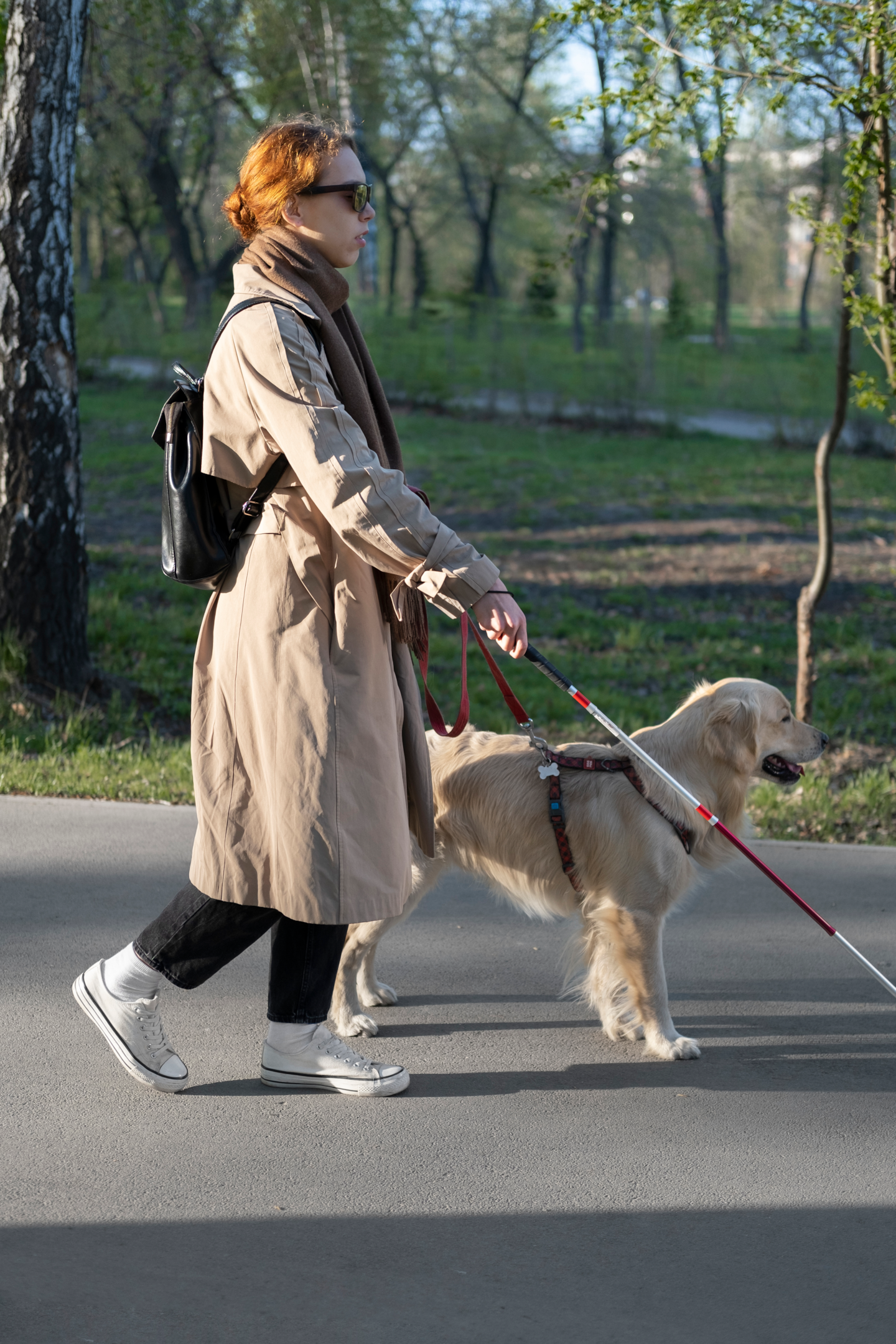 Blind person walking dog (scene understanding in computer vision).