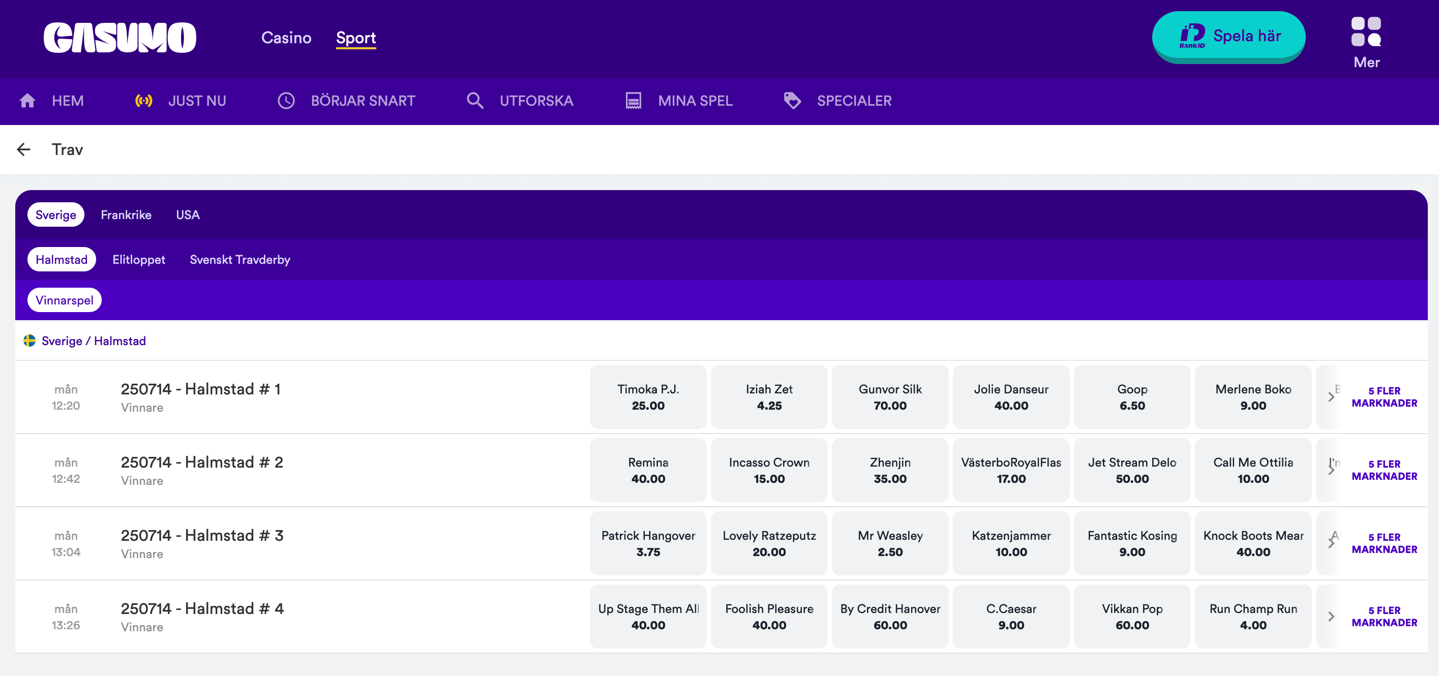 Casumo spel på hästar