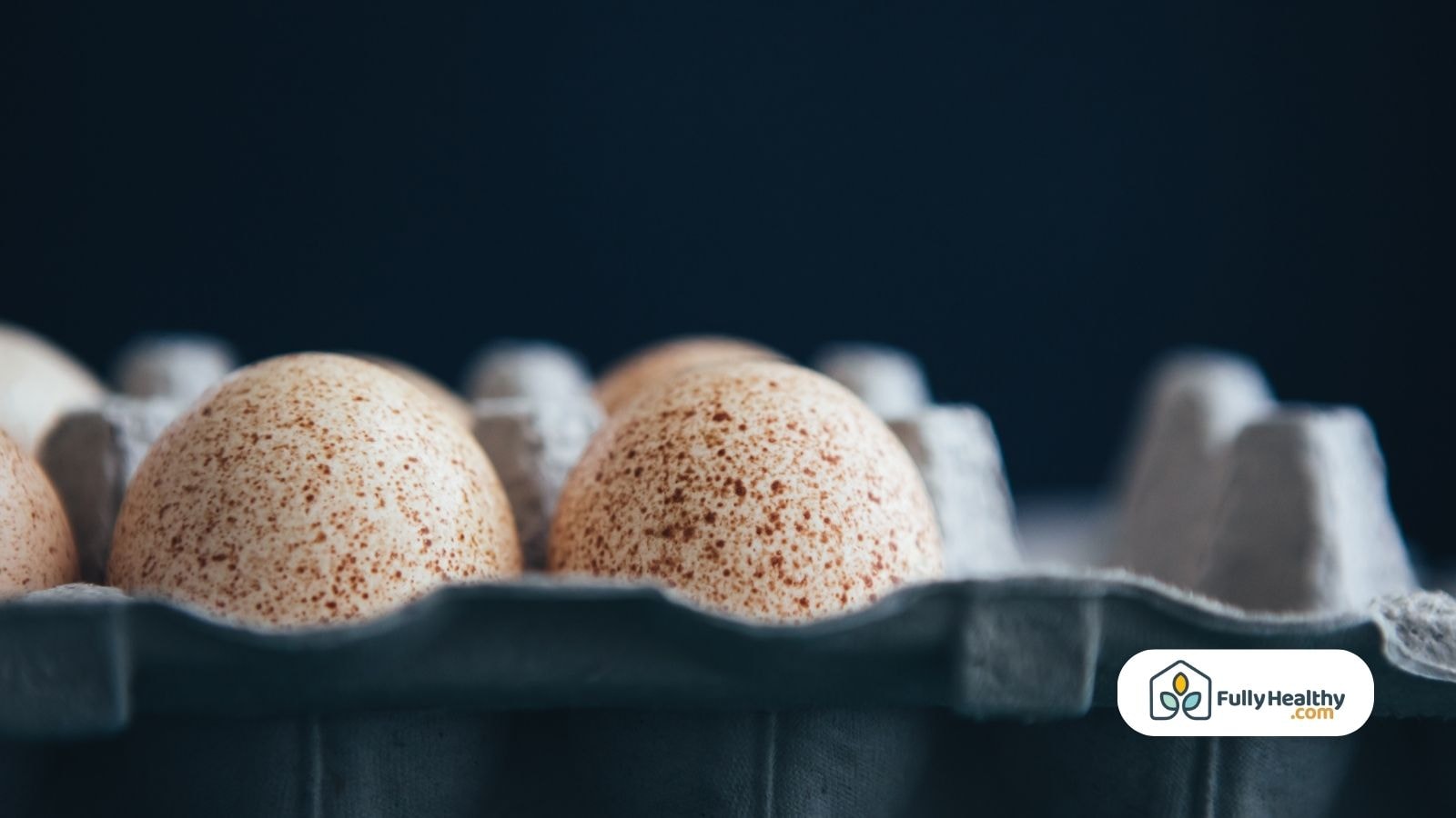 Close-up of turkey eggs in a gray cardboard egg carton