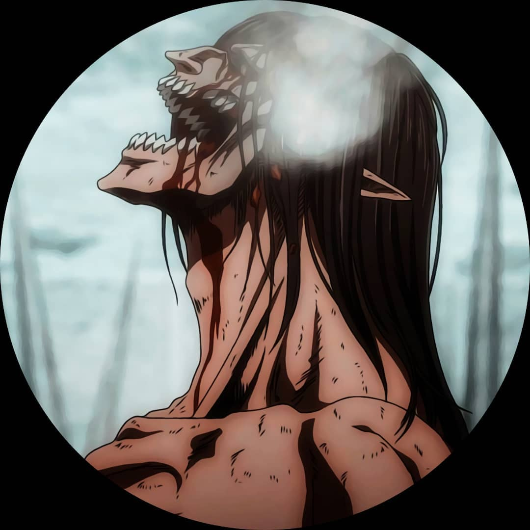 Shingeki No Kyojin (Attack Titan PFP)