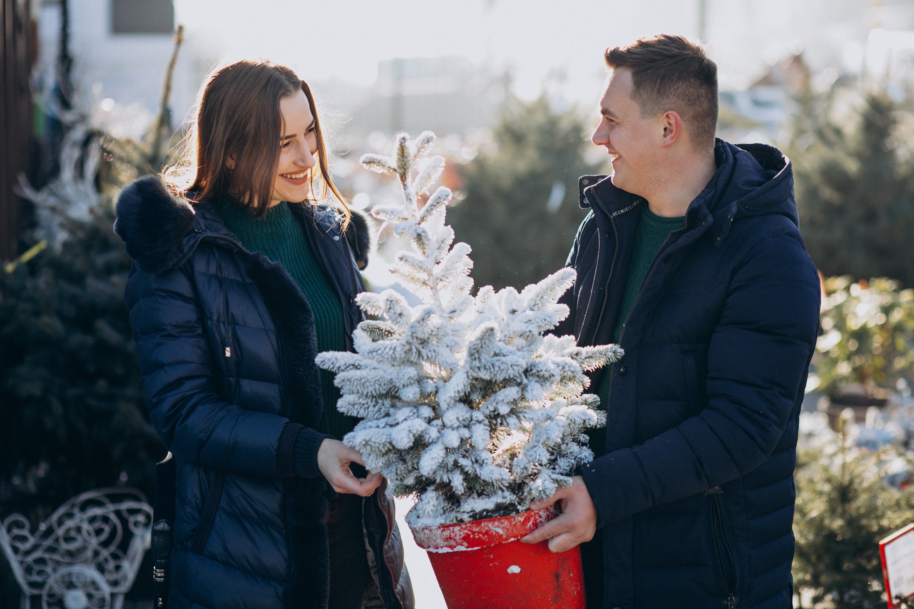 Christmas Tree Proposal in Amsterdam
