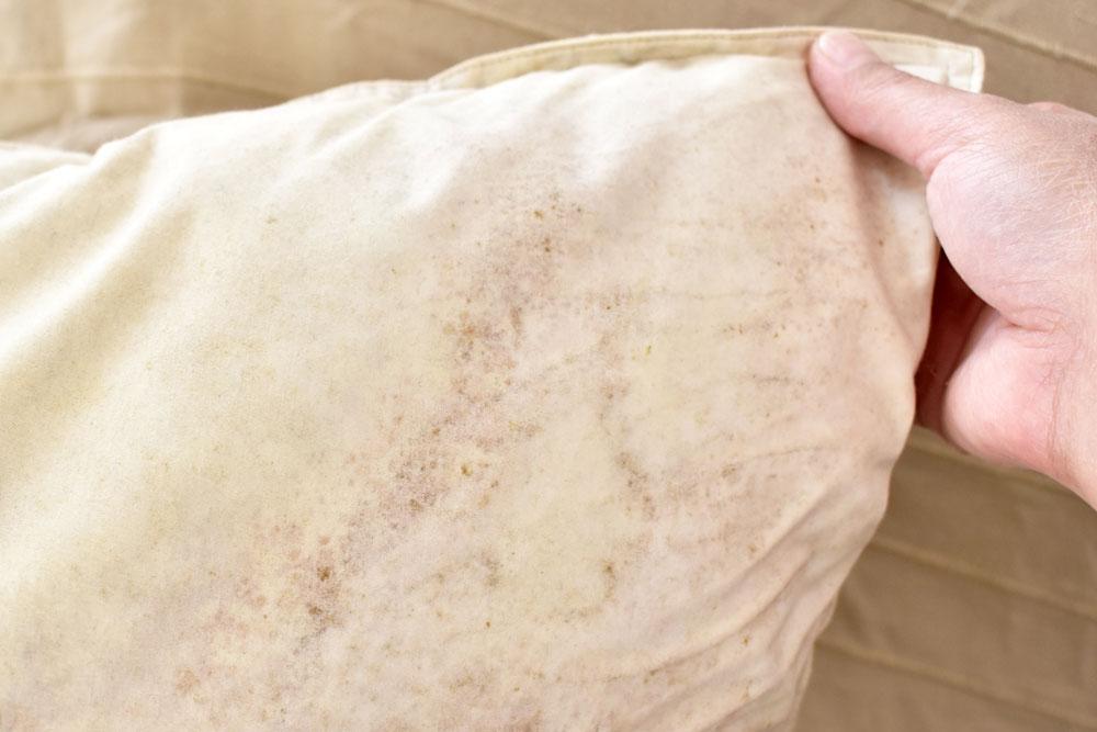 Mold on a Microfiber Towel 