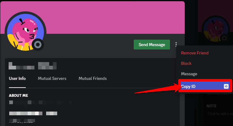 Copying the other user id from their Discord user profile