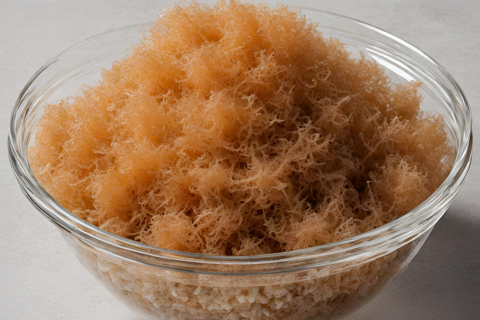 A bowl of dried sea moss