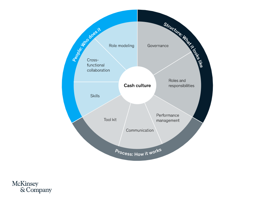 Cash visibility management