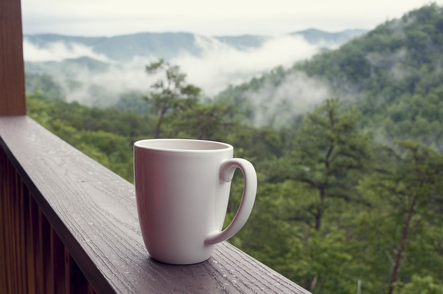 smoky mountains, coffee, nature