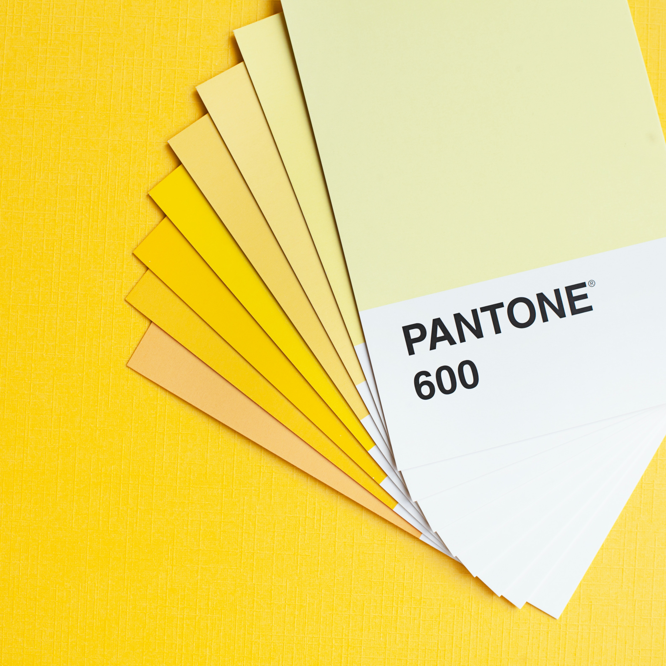 Yelow pantone color swatches help you choose kitchen paint