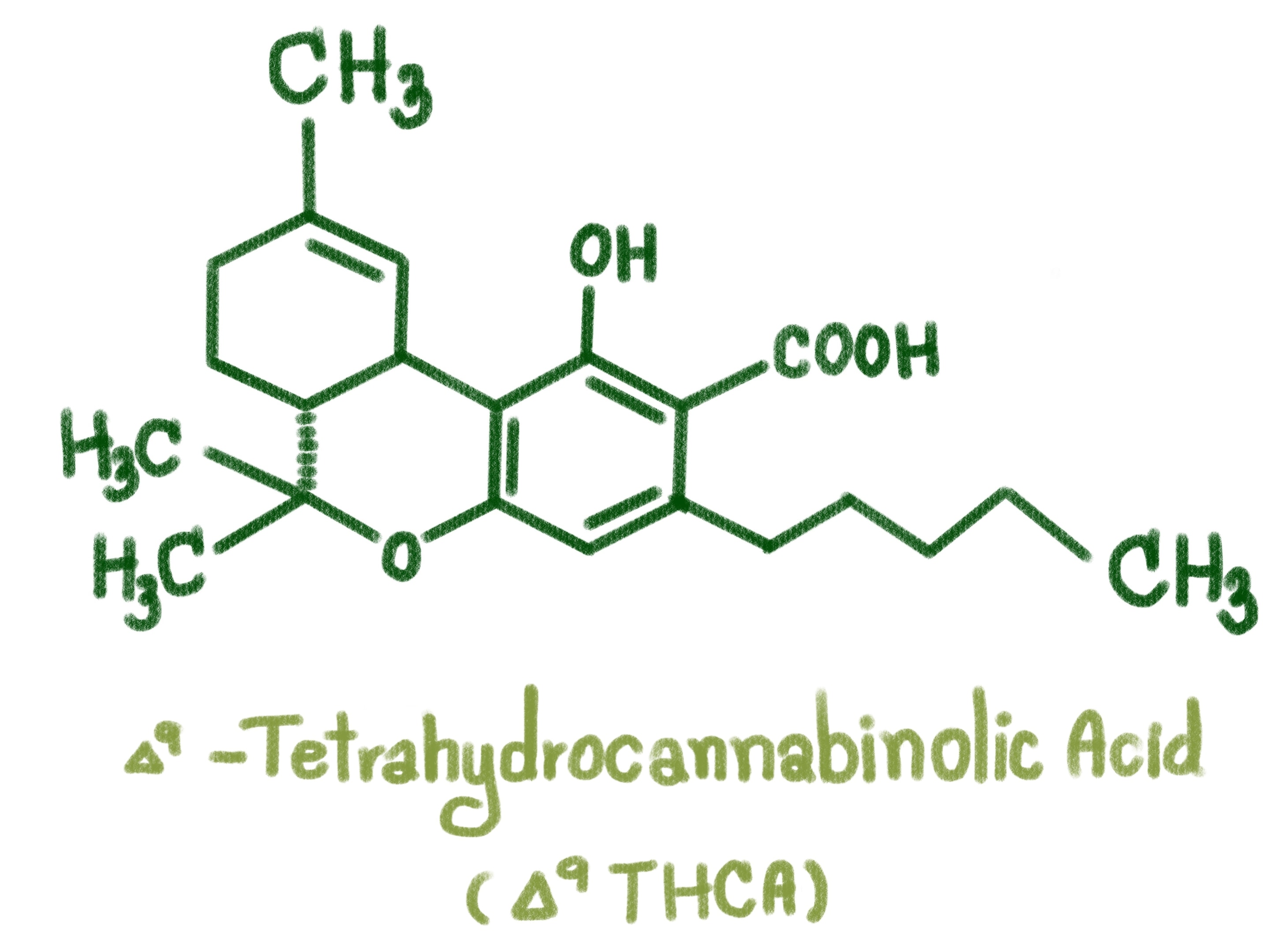 THCA Flower: As Psychoactive as Regular Weed?