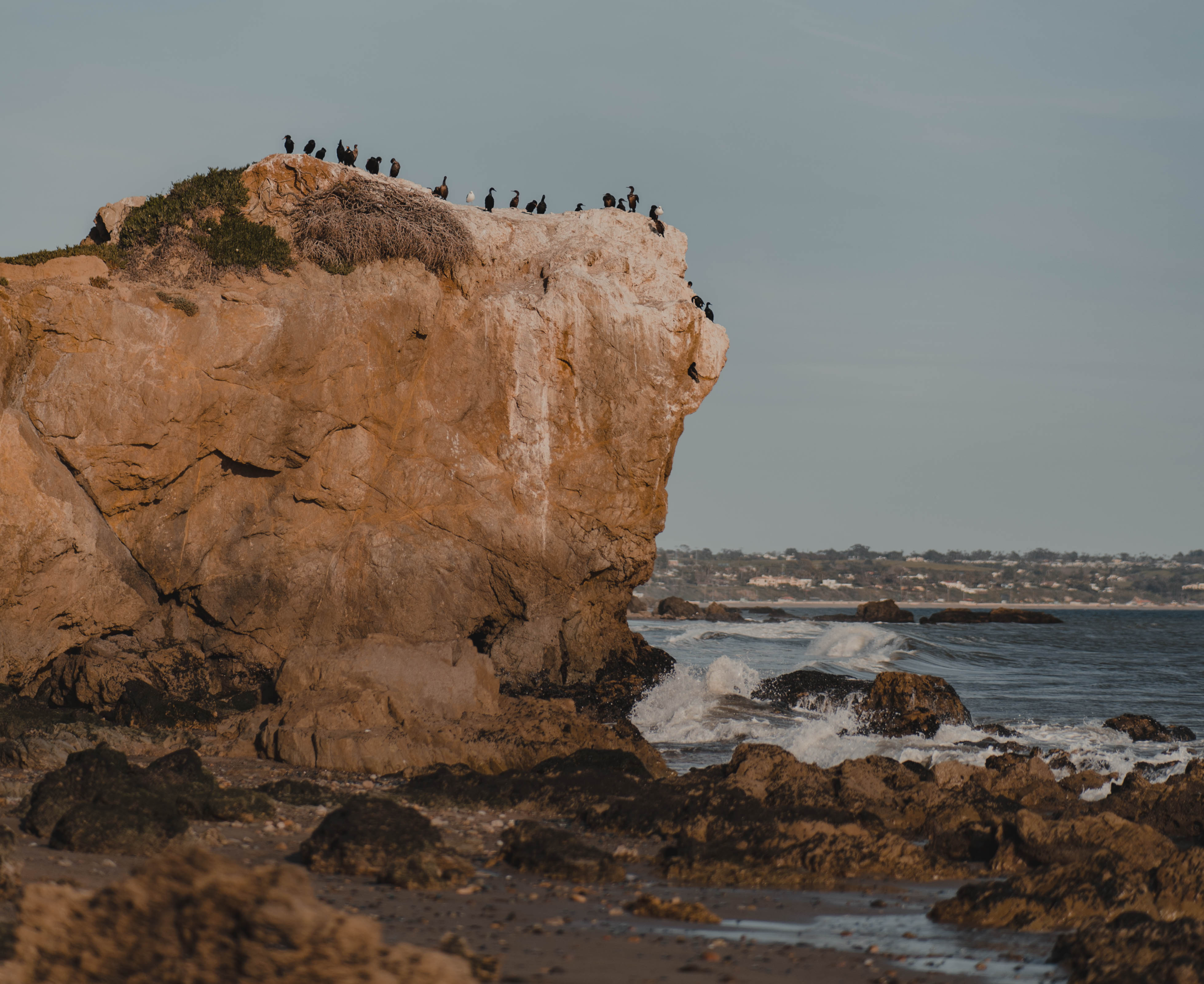 Rock formation with birds at El Matador Beach in Malibu, California. Photo by @WayfareWithPierre on Instagram