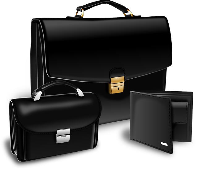 briefcase, purse, suitcase