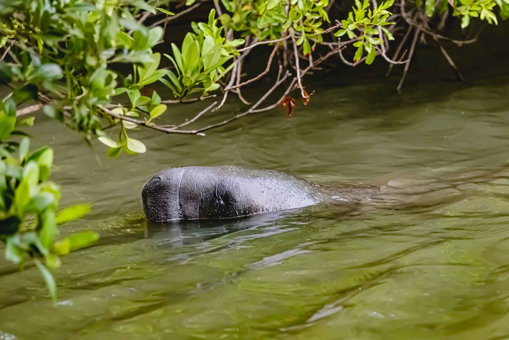 Indian River Lagoon State Park