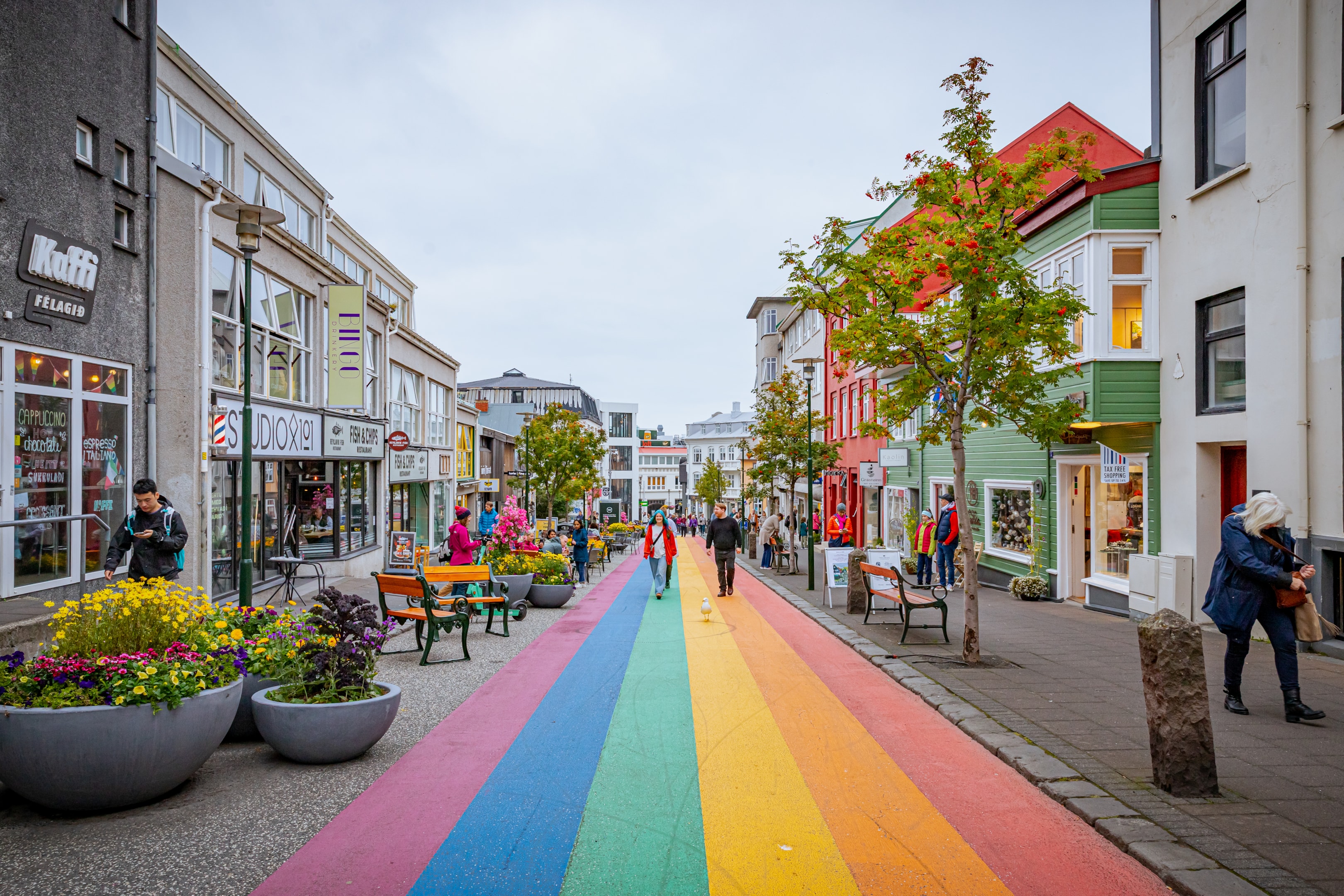                                                                                                                                                                                                                                                                                                                                                                                                                                                                                                                                                                                          the best indoor activities in reykjavík for cold or rainy days northern lights national museum rainy day harpa concert hall geothermal pools volcanic eruption local pools hot tubs lava show rain falls flyover iceland indoor activities warm pools lava flows icelandic culture downtown reykjavik sky lagoon kringlan shopping mall saga museum only live lava show whales of iceland cold plunge day in reykjavik world class museums hot chocolate steam rooms outdoor pools fascinating museums blue whale settlement exhibition viking settlements observation tower multiple locations locals embrace experience iceland live lava interactive displays interactive exhibits whole family iceland life sized models unforgettable experience little rain cozy spots observation deck stay warm city bio paradis three floors rain lava weather reykjavik museum nature relax history fun explore visitors warm kids life one of iceland's whales cafe volcanoes tour walk indoors wet swimming locals exhibitions magical world shopping mall spend waterfalls hours
