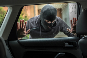 Elements of the car theft crime