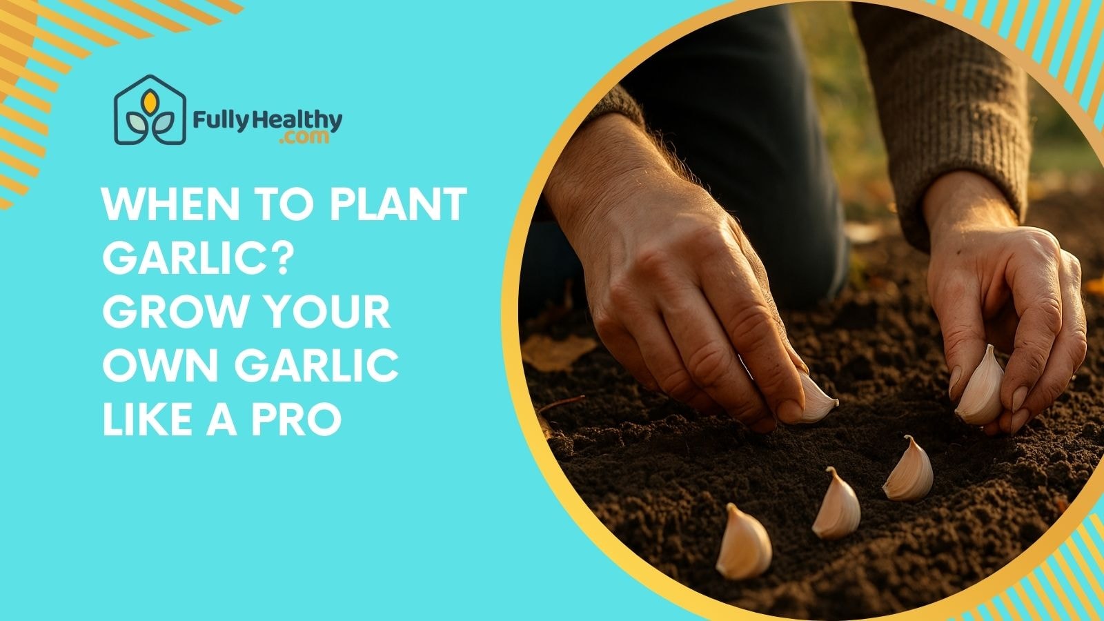 When to Plant Garlic: Grow Your Own Garlic Like a Pro