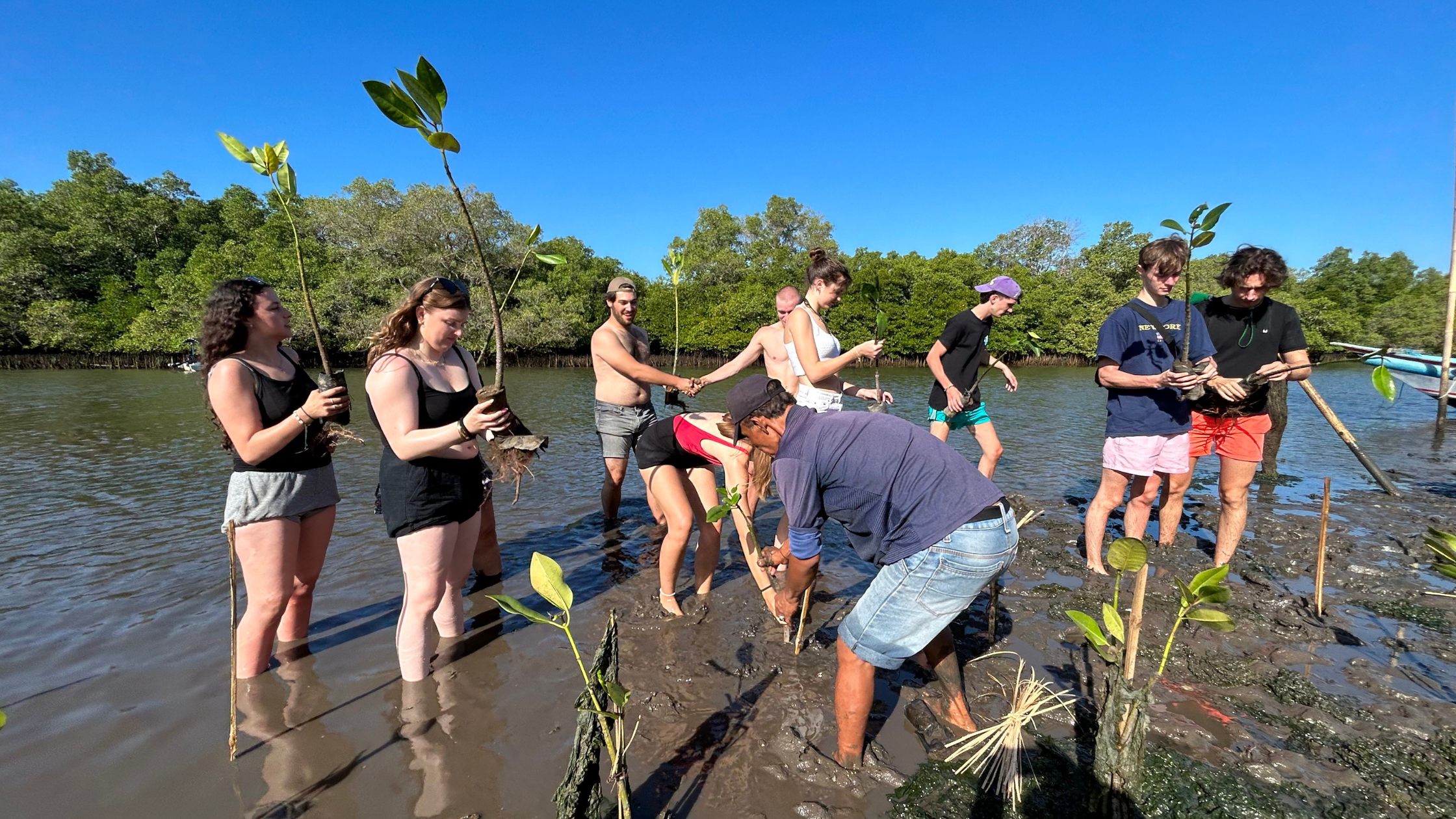 Mangrove planting at Bali Mangrove Forest