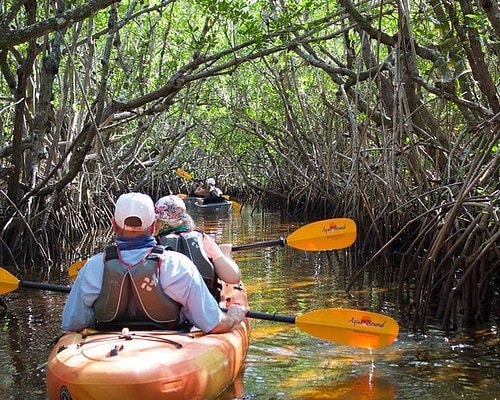 Kayaking Everglades National Park