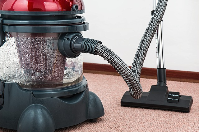vacuum cleaner, carpet cleaner, housework