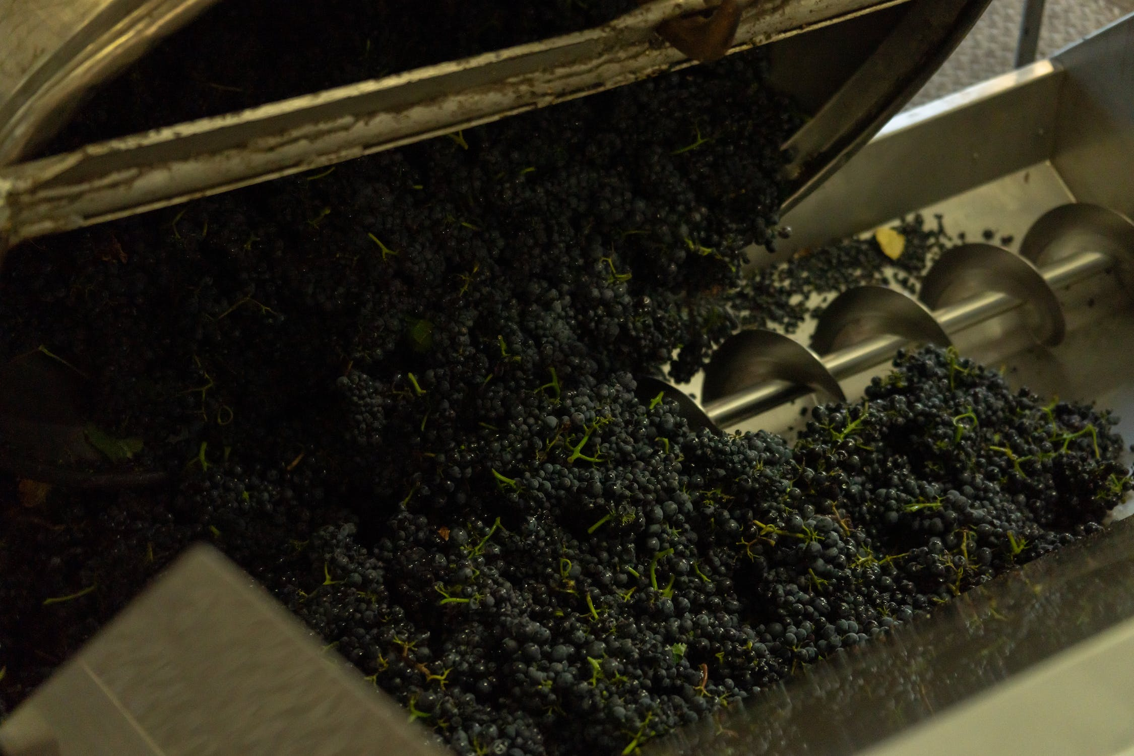 winegrape growers, wine producers