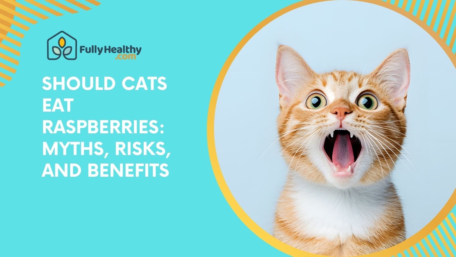 Should Cats Eat Raspberries: Myths, Risks, and Benefits