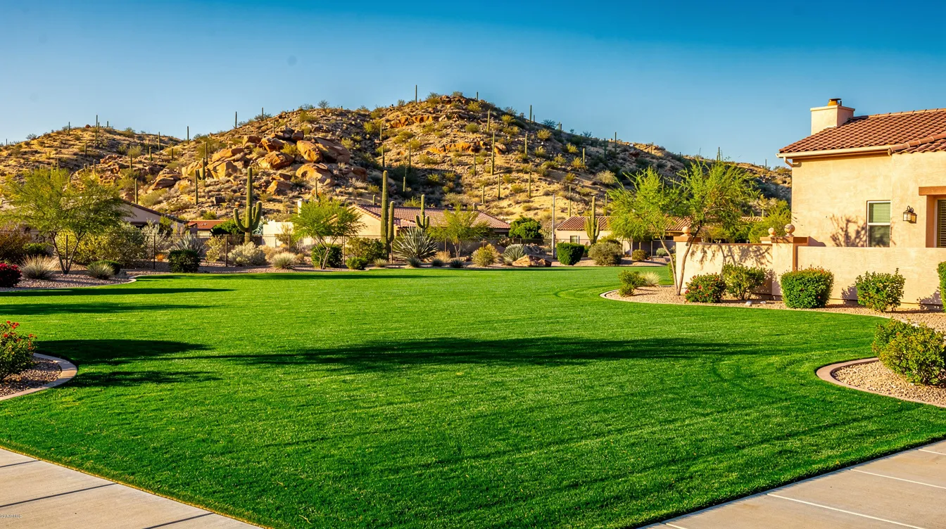 The image depicts a lush green winter lawn in an Arizona residential neighborhood, featuring vibrant grass that thrives under the clear blue sky and framed by desert hills in the background. This beautiful lawn showcases the results of winter overseeding with perennial ryegrass, creating a striking contrast against the arid landscape.