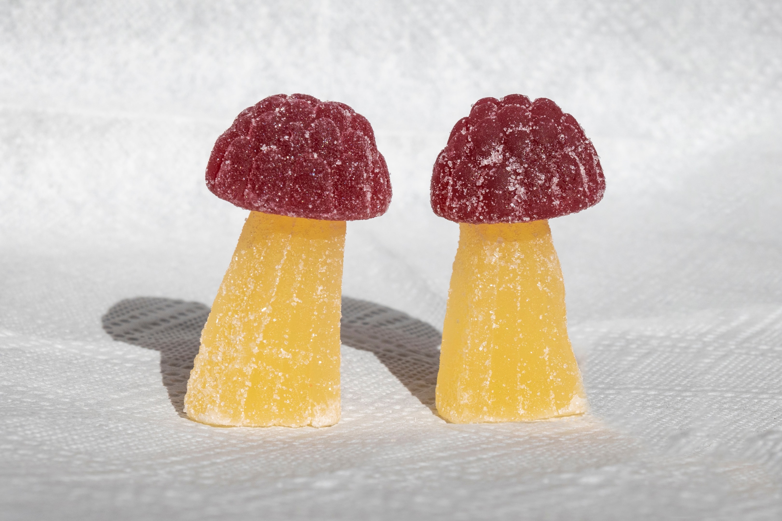 image showcasing for the blog "Do mushroom gummies make you trip"