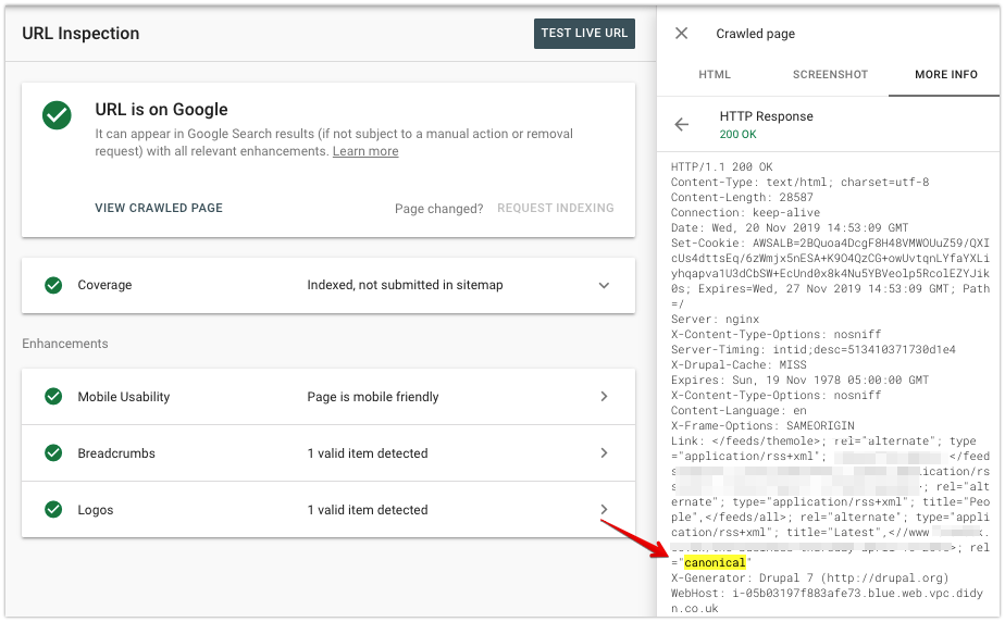 guide to canonical tag